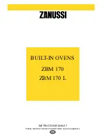 Предварительный просмотр 1 страницы Zanussi ZBM170 Instruction Booklet