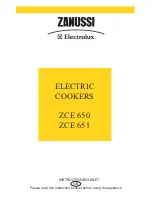Zanussi ZCE 650 Instruction Booklet preview