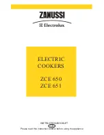 Preview for 1 page of Zanussi ZCE 650 Instruction Booklet