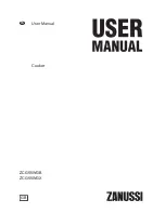 Предварительный просмотр 1 страницы Zanussi ZCG55WGB User Manual