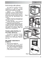 Предварительный просмотр 67 страницы Zanussi ZOB 580 User Manual