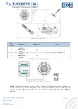 Предварительный просмотр 62 страницы ZCS Azzurro 3PH HYD10000 ZSS User Manual