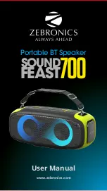 Zebronics SOUND FEAST 700 User Manual предпросмотр