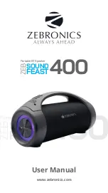 Zebronics ZEB-SOUND FEAST 400 User Manual предпросмотр