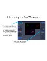 Preview for 6 page of Zeiss 880 Training Notes