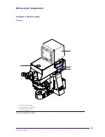 Предварительный просмотр 61 страницы Zeiss Axioplan 2 imaging and Axiophot 2 Operating Manual