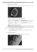 Предварительный просмотр 92 страницы Zeiss GeminiSEM Series Instruction Manual