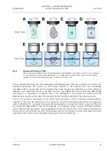 Preview for 65 page of Zeiss Lightsheet Z.1 Operating Manual