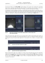 Preview for 233 page of Zeiss Lightsheet Z.1 Operating Manual