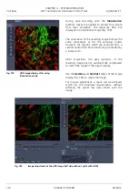 Preview for 280 page of Zeiss Lightsheet Z.1 Operating Manual