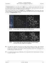 Preview for 285 page of Zeiss Lightsheet Z.1 Operating Manual