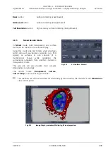 Предварительный просмотр 379 страницы Zeiss Lightsheet Z.1 Operating Manual