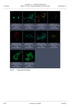 Preview for 412 page of Zeiss Lightsheet Z.1 Operating Manual