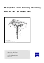 Preview for 563 page of Zeiss LSM 510 Manual