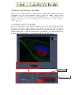 Preview for 19 page of Zeiss LSM 710 SIM Manual/Quick Manual