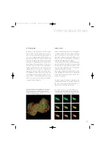 Preview for 96 page of Zeiss LSM 710 Operating Manual