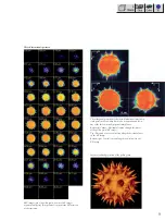 Preview for 135 page of Zeiss LSM 710 Operating Manual