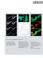 Preview for 143 page of Zeiss LSM 710 Operating Manual