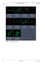 Preview for 428 page of Zeiss LSM 710 Operating Manual