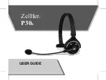 ZelHer P30a User Manual preview