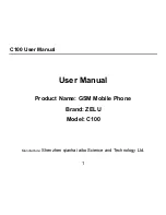 ZELU C100 User Manual preview