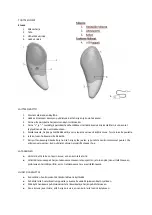 Preview for 8 page of Zenkuru 17723 User Manual