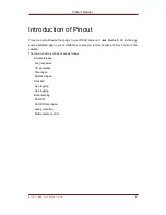 Preview for 4 page of Zesty Systems Pinout User Manual