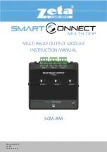 Zeta Alarm Limited SmartConnect SCM-RM Instruction Manual preview