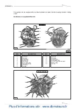 Предварительный просмотр 8 страницы ZF 325 Series Manual