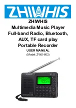 ZHIWHIS ZWS-603 User Manual preview