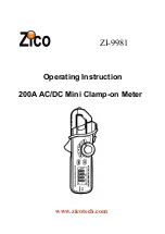 Предварительный просмотр 1 страницы Zico ZI-9981 Operating	 Instruction