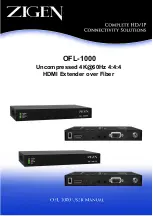 Zigen OFL-1000 User Manual preview