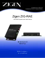 Предварительный просмотр 1 страницы Zigen Zigen ZIG-RAE User Manual