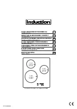 Zigmund & Shtain CIS 029.45 BX User Instructions preview