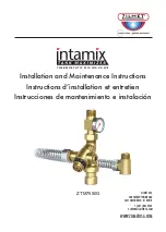 Preview for 1 page of Zilmet intamix Installation And Maintenance Instructions Manual