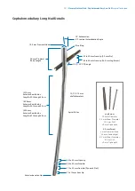 Preview for 31 page of Zimmer Biomet Zimmer Natural Nail Manual