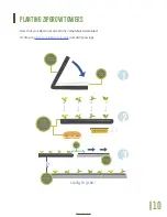 Предварительный просмотр 10 страницы ZipGrow 5-foot Farm Wall Manual