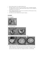 Preview for 5 page of ZIPPY SLW802 Instruction Manual