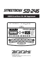 Preview for 1 page of Zoom Street boxx SB-246 Supplement Manual