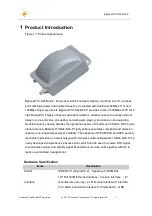 Preview for 10 page of Zoomnet Bgate-GT10-D24-N22-P User Manual