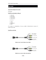 Preview for 199 page of Zowietek Electronicszowietek Micro Pocket DVR I User Manual