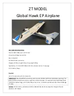 ZT Model Global Hawk EP Airplane Quick Start Manual preview