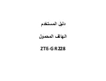 ZTE-G R228 User Manual предпросмотр