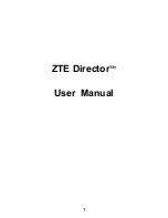 Zte Director User Manual предпросмотр