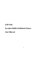 Zte F165 User Manual preview