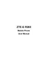 Предварительный просмотр 2 страницы Zte -G R260 User Manual