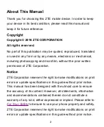 Preview for 2 page of Zte N9517 User Manual