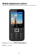 Preview for 1 page of Zte Z2317 Use Manual