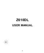 Preview for 1 page of Zte Z610DL User Manual