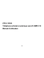 Предварительный просмотр 69 страницы Zte ZTE-C E520 User Manual